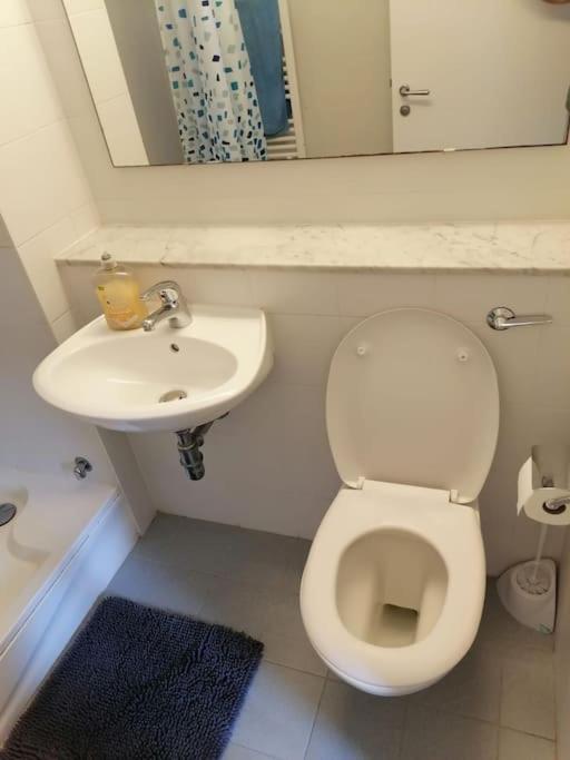 3bed 3bath Liffey River View Apartment *
