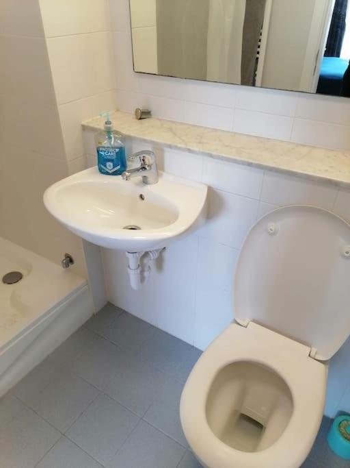 Apartment 3bed 3bath Liffey River View Dublin