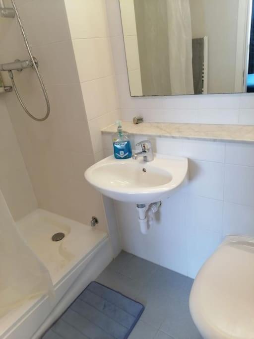 Apartment 3bed 3bath Liffey River View